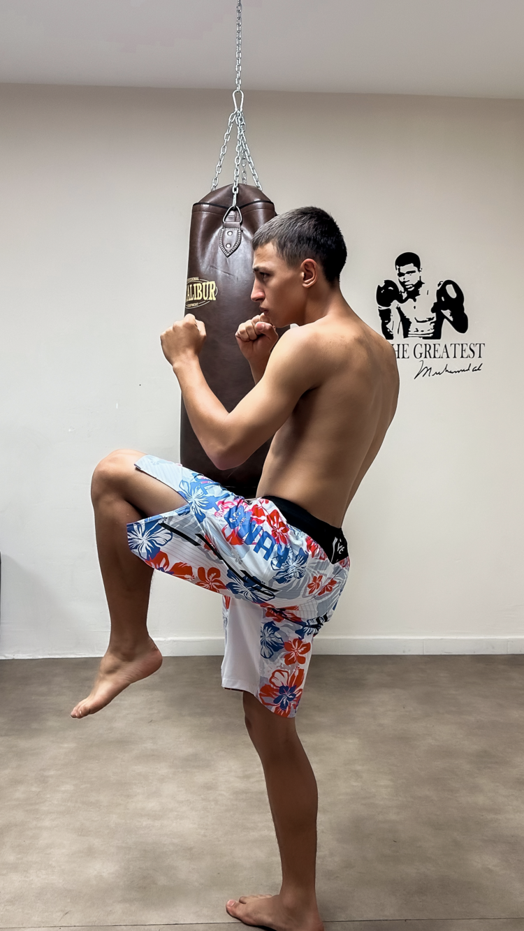 Max Holloway Fight Shorts