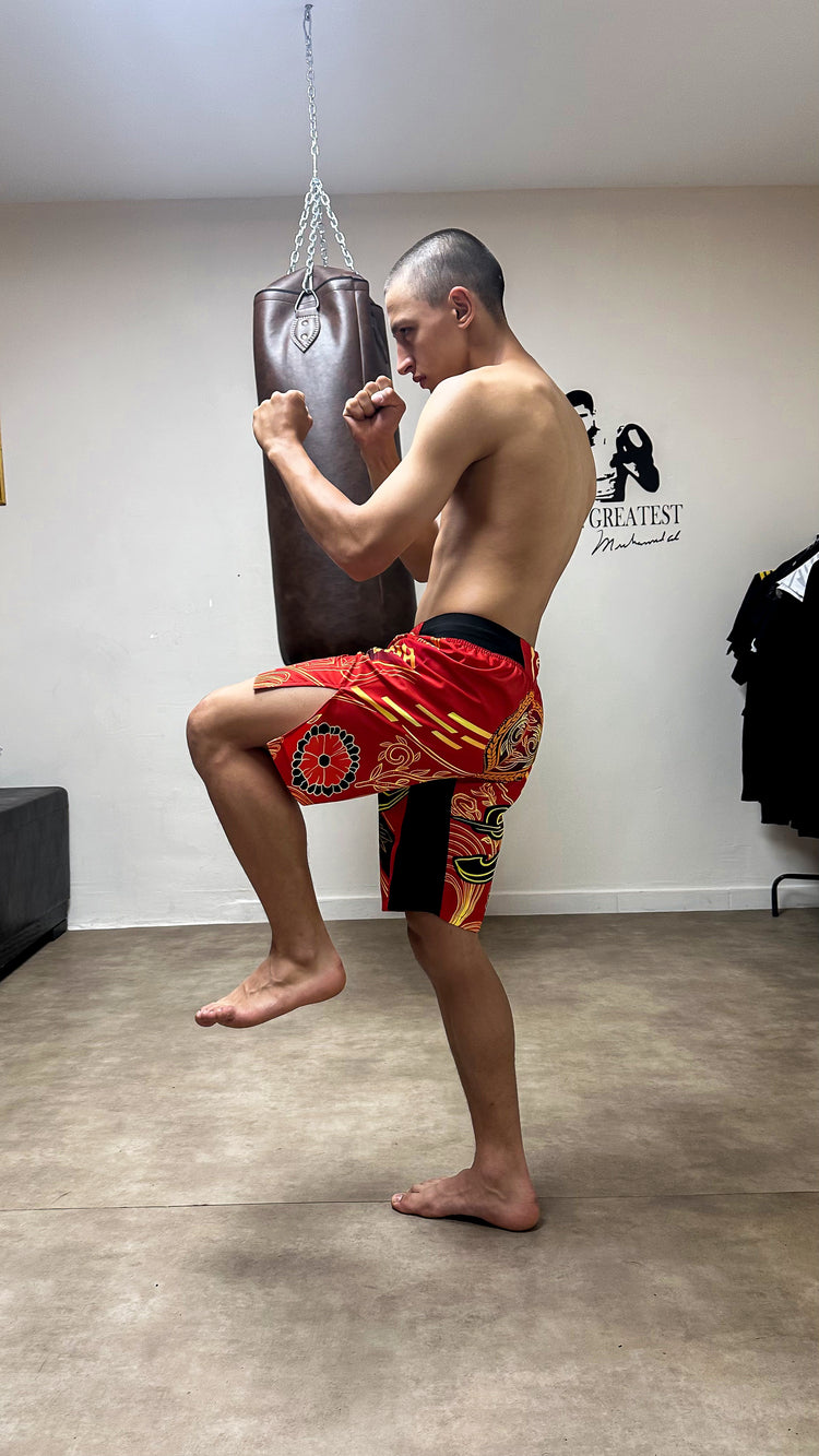 Ilia Topuria Fight Shorts